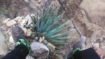 photo thumbnail #7