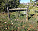 photo thumbnail #5