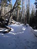 photo thumbnail #5