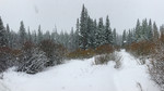 photo thumbnail #5