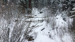 photo thumbnail #8
