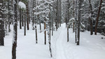 photo thumbnail #9