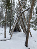 photo thumbnail #11