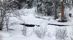 photo thumbnail #14