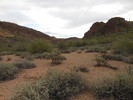 photo thumbnail #4