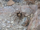 photo thumbnail #15