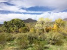photo thumbnail #10