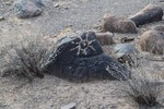 photo thumbnail #5