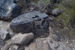 photo thumbnail #9
