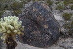photo thumbnail #10