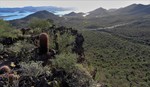 photo thumbnail #2