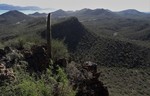 photo thumbnail #4