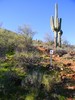photo thumbnail #11