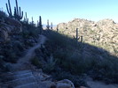 photo thumbnail #7