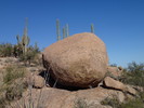 photo thumbnail #8