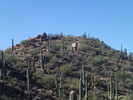 photo thumbnail #10