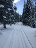 photo thumbnail #8