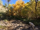 photo thumbnail #2