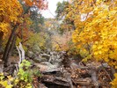 photo thumbnail #6