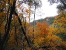 photo thumbnail #10