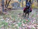 photo thumbnail #13