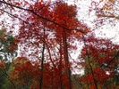 photo thumbnail #15
