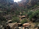 photo thumbnail #13