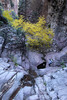 photo thumbnail #10