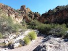photo thumbnail #6