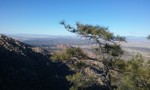 photo thumbnail #2