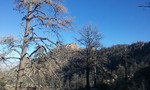 photo thumbnail #4