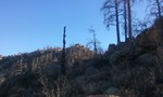 photo thumbnail #5