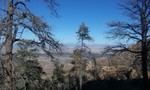 photo thumbnail #6