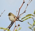 photo thumbnail #9