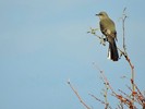 photo thumbnail #13