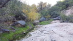 Featured Full Photo