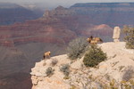 photo thumbnail #12