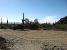 photo thumbnail #6