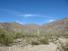 photo thumbnail #9