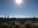 photo thumbnail #10