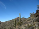 photo thumbnail #12