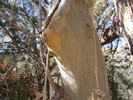 photo thumbnail #7