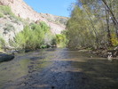photo thumbnail #1