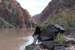 photo thumbnail #10