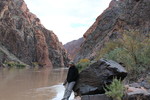 photo thumbnail #11