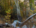 photo thumbnail #4