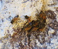 photo thumbnail #5