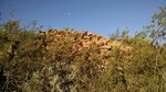 photo thumbnail #2