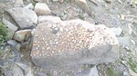 photo thumbnail #12