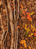 photo thumbnail #12